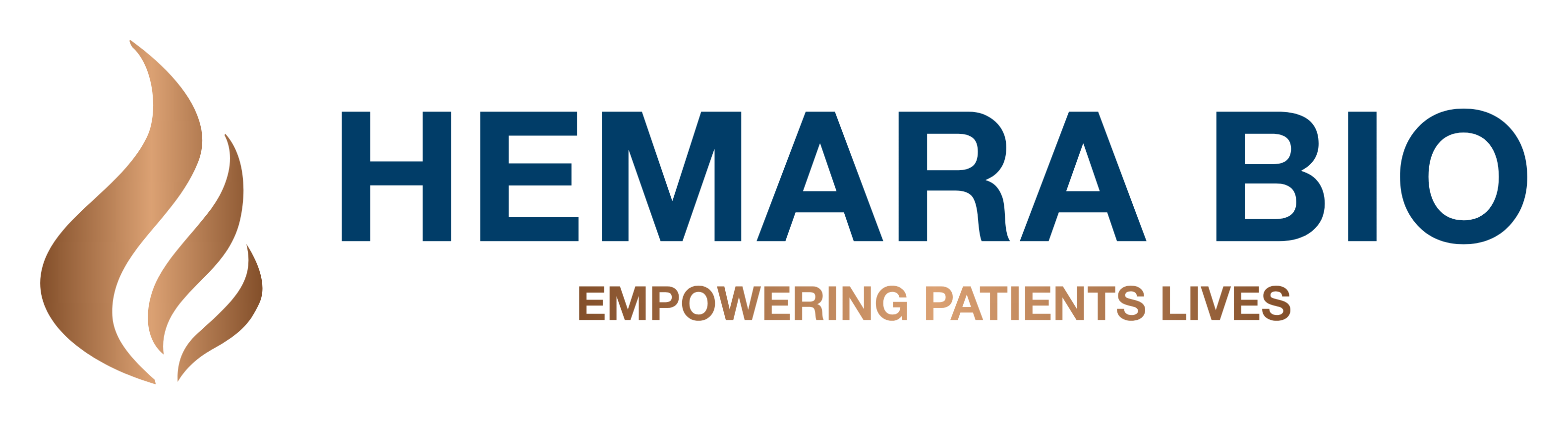 In House Capabilities Hemarabio in-house-capabilities-hemarabio
